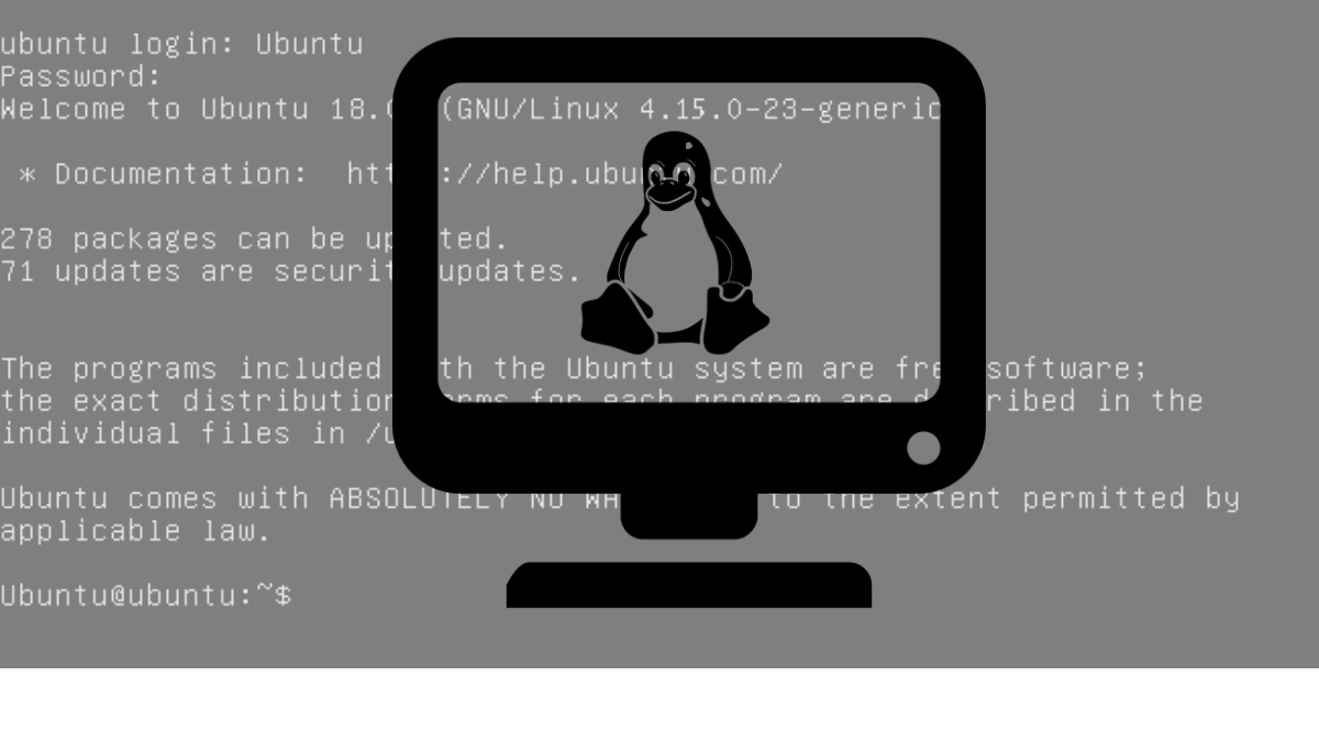What is TTY Linux? How to use this command?