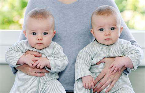 Why Identical Twins Are Born?